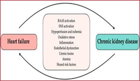 Heart Failure And The Plight Of Extreme Obesity